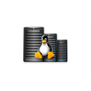Развертывание и поддержка серверов  Windows, Linux